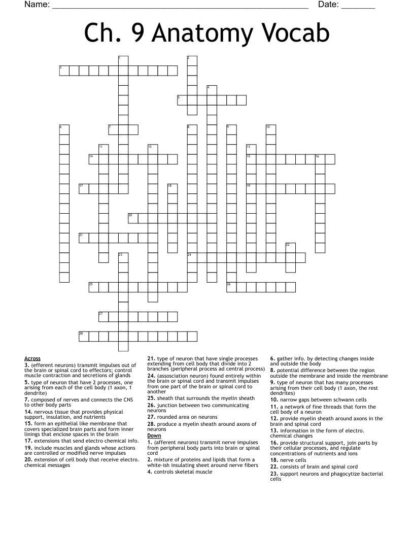 Ch. 9 Anatomy Vocab Crossword