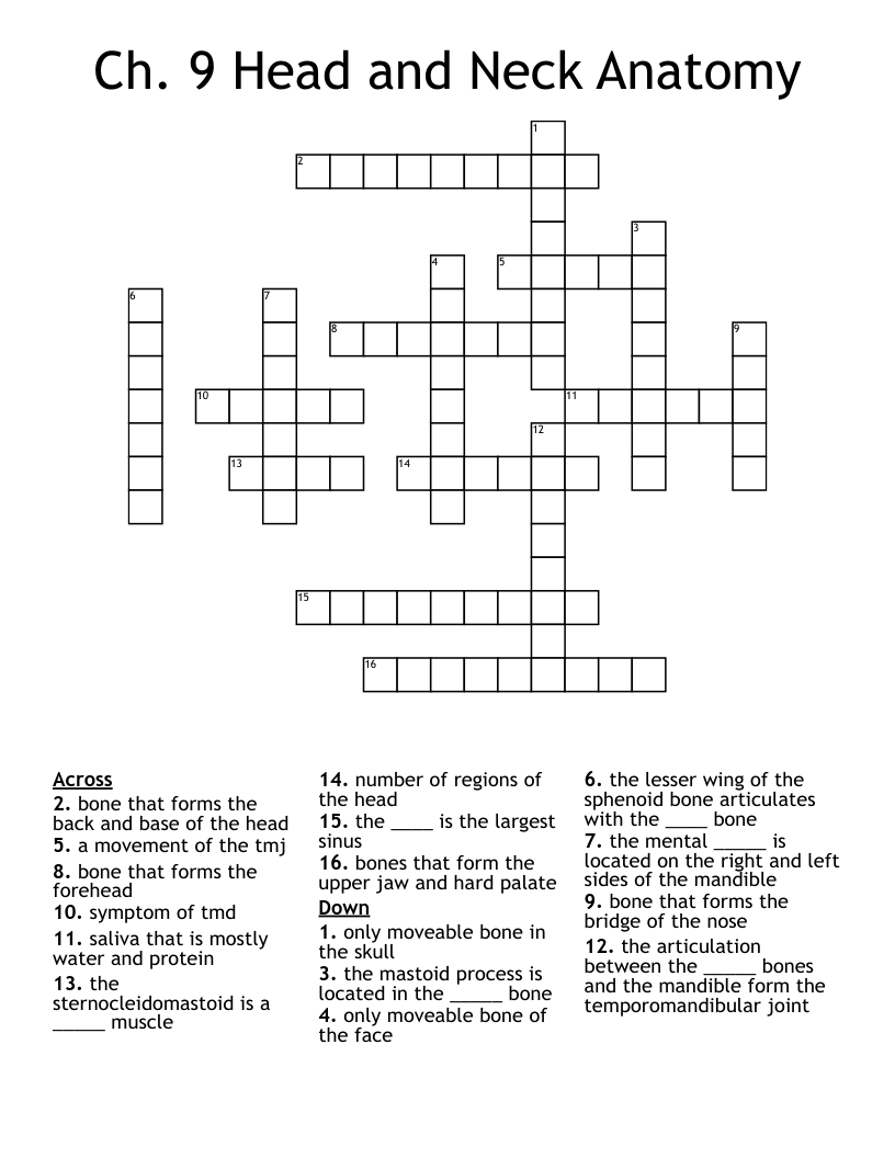 Ch. 9 Head and Neck Anatomy Crossword