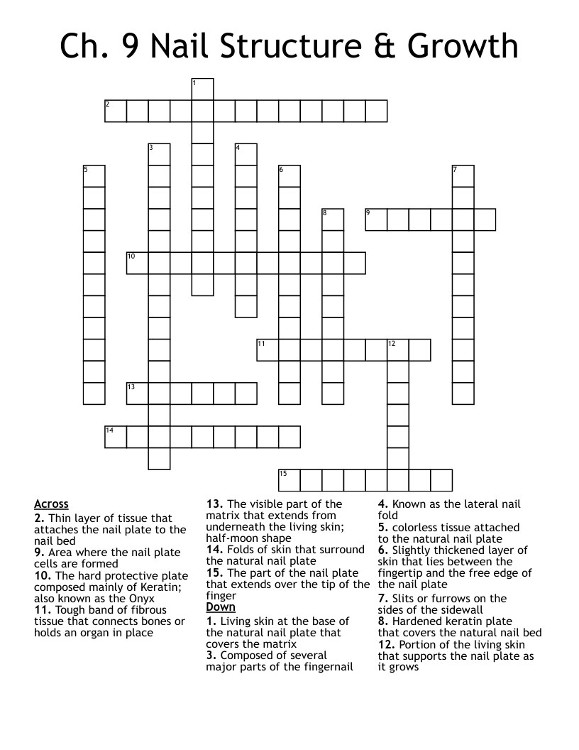 Ch. 9 Nail Structure & Growth Crossword