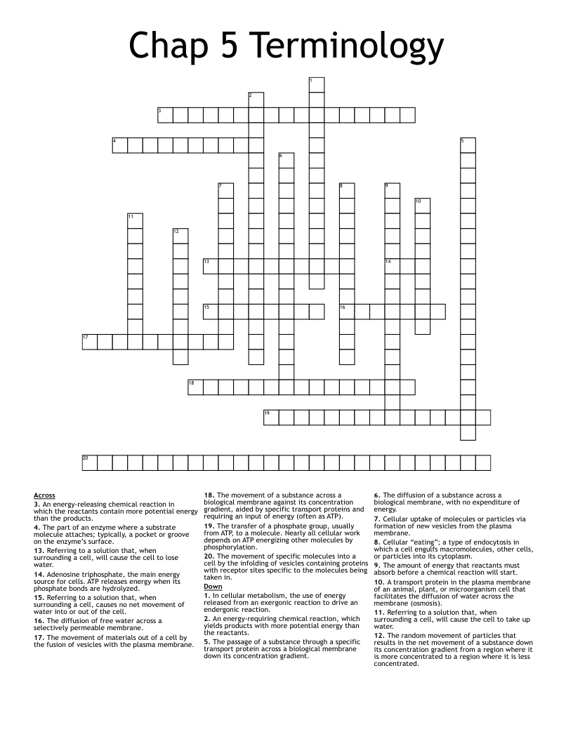 Chap 5 Terminology Crossword