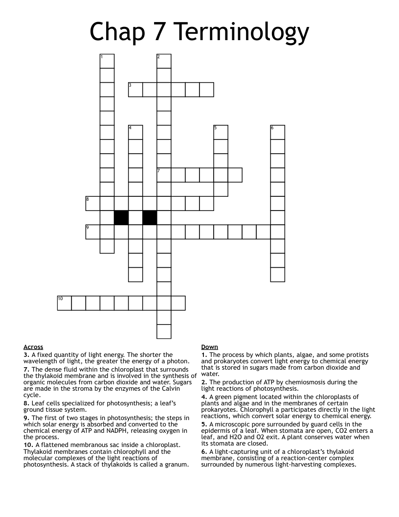 Chap 7 Terminology Crossword