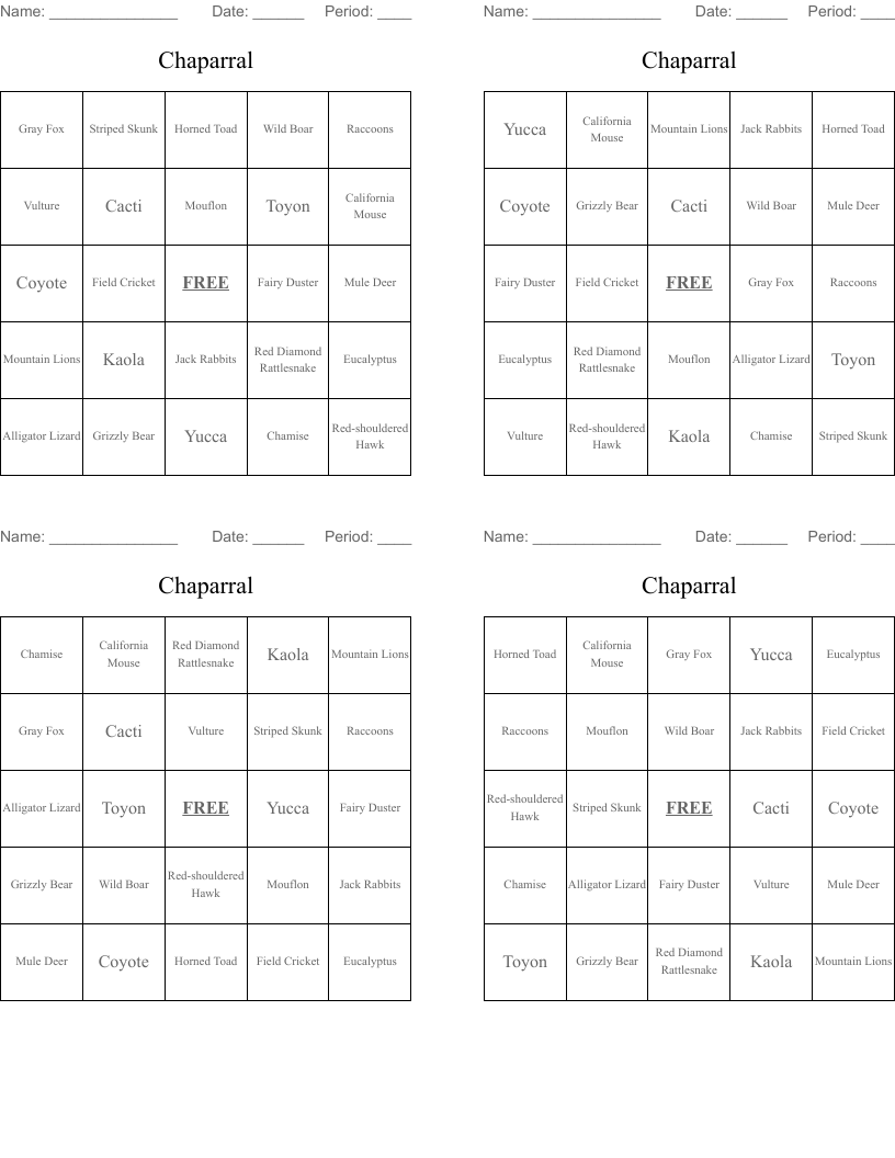 Chaparral Bingo Cards