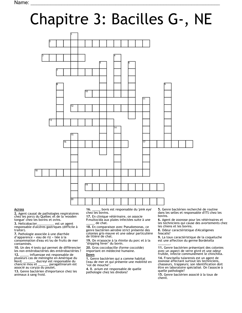 Chapitre 3: Bacilles G-, NE Crossword
