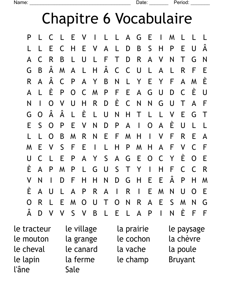 Chapitre 6 Vocabulaire  Word Search