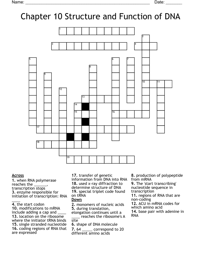 Chapter 10 Structure and Function of DNA Crossword