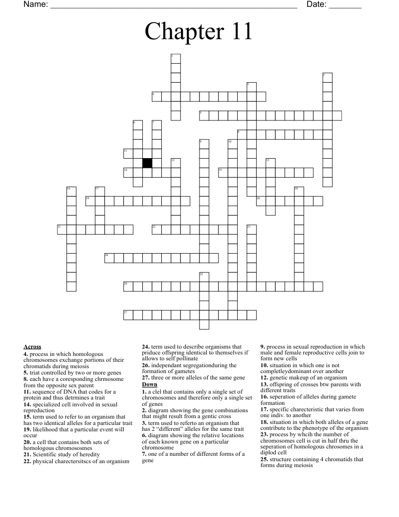 Chapter 11 Crossword