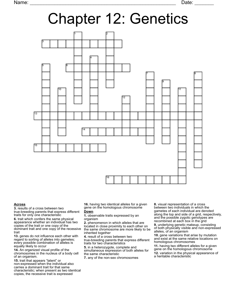 Chapter 12: Genetics Crossword