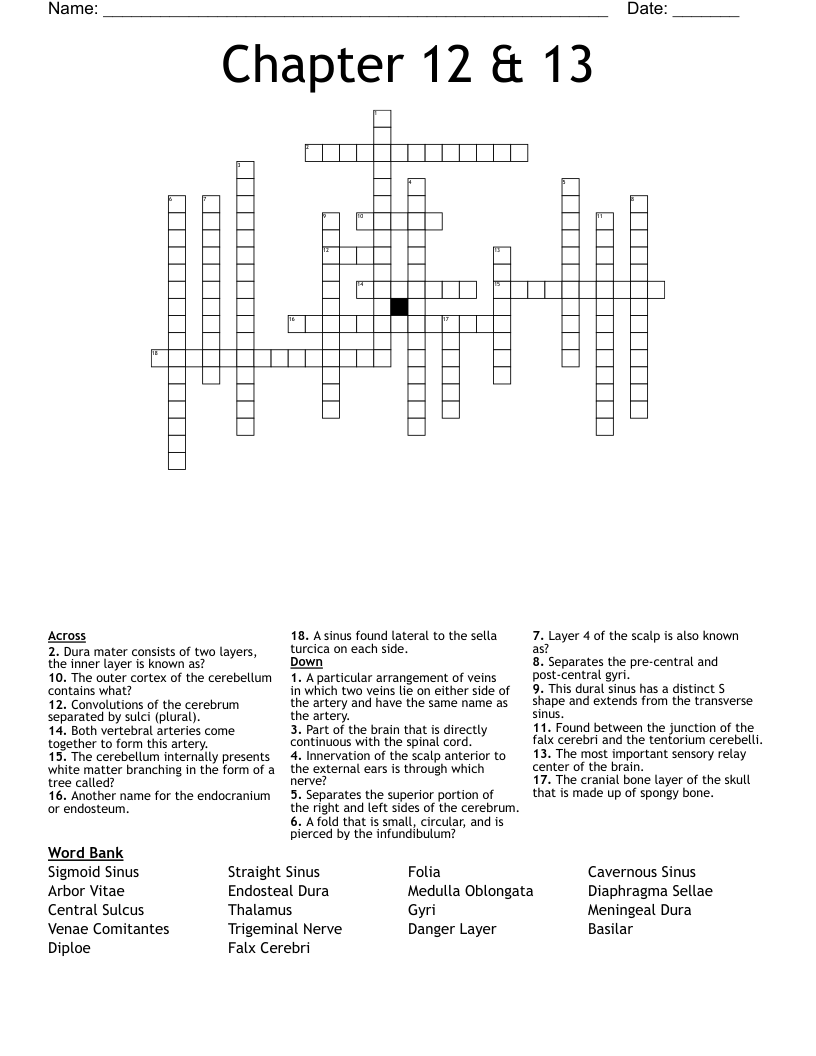 Chapter 12 & 13  Crossword