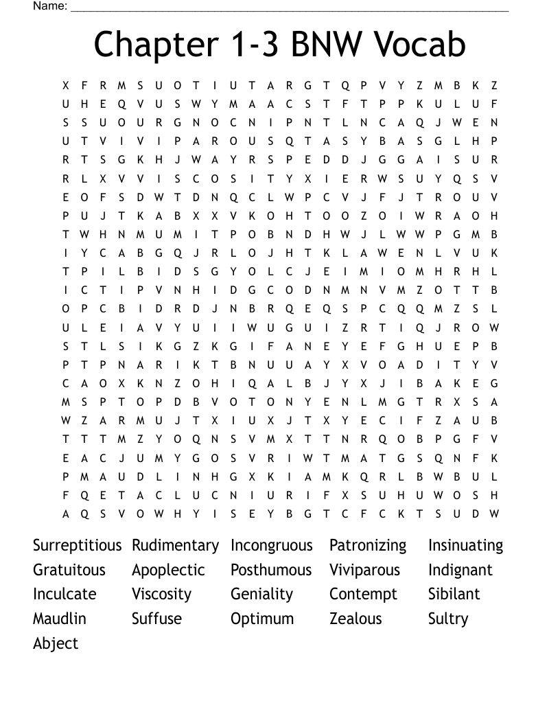 Chapter 1-3 BNW Vocab Word Search