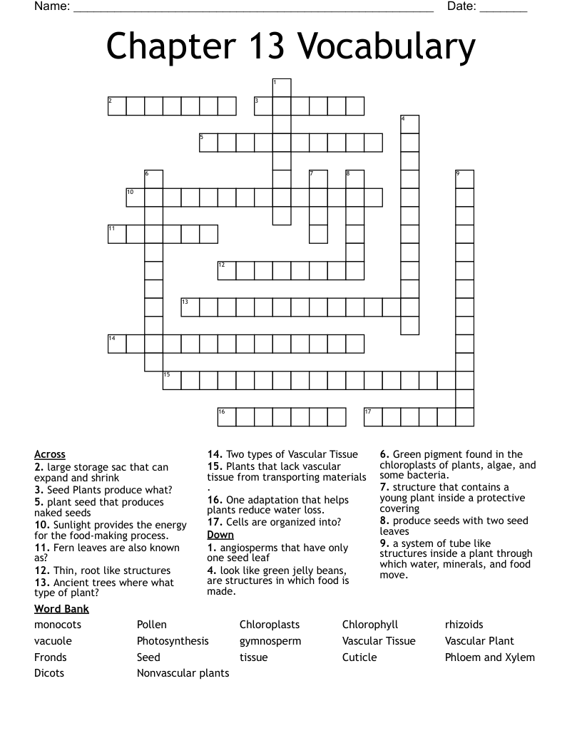 Chapter 13 Vocabulary  Crossword