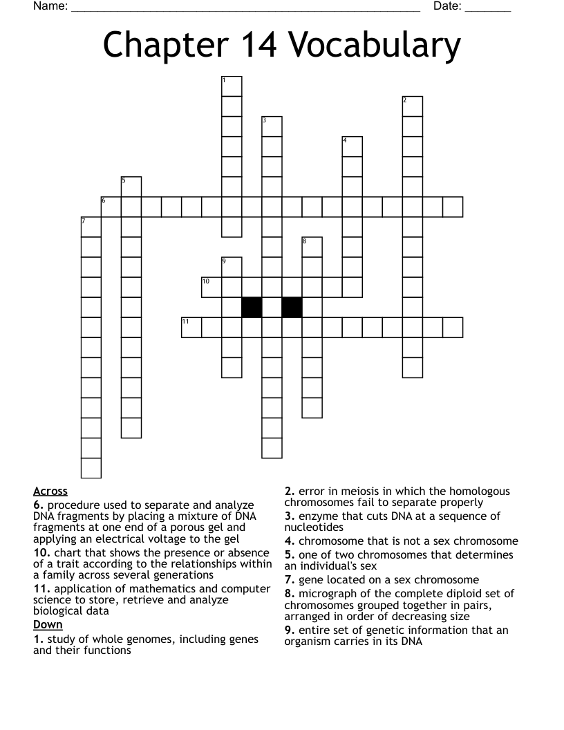 Chapter 14 Vocabulary Crossword