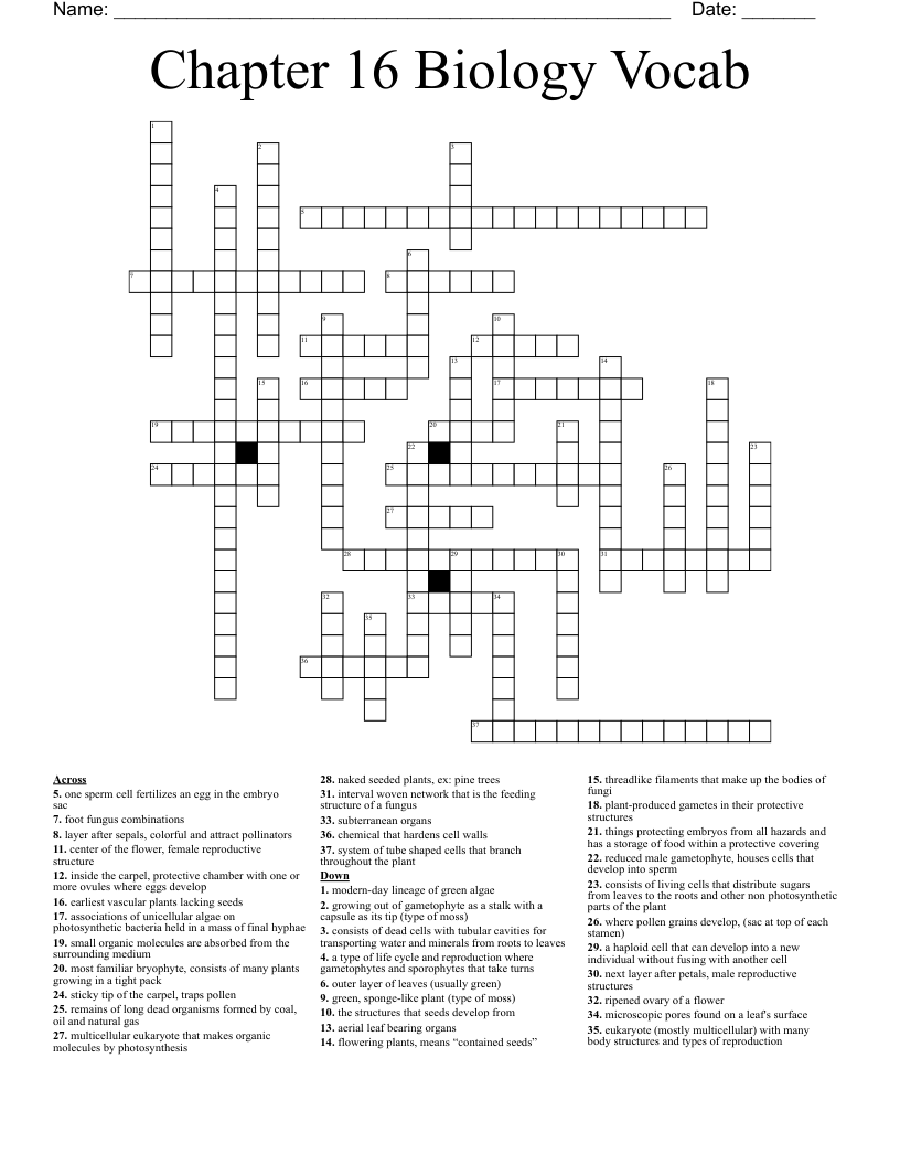 Chapter 16 Biology Vocab Crossword