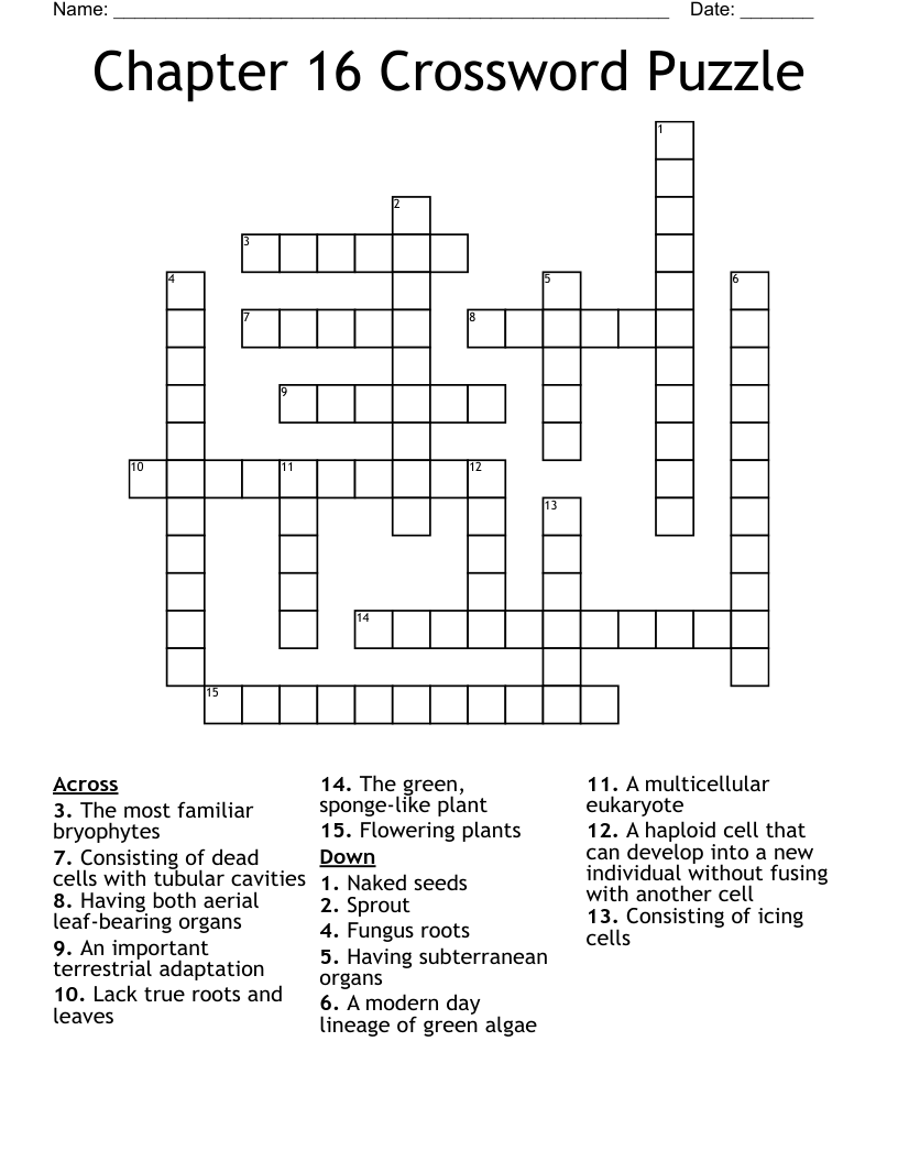 Chapter 16 Crossword Puzzle