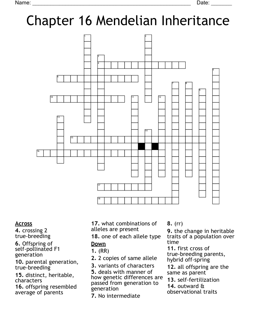 Chapter 16 Mendelian Inheritance Crossword