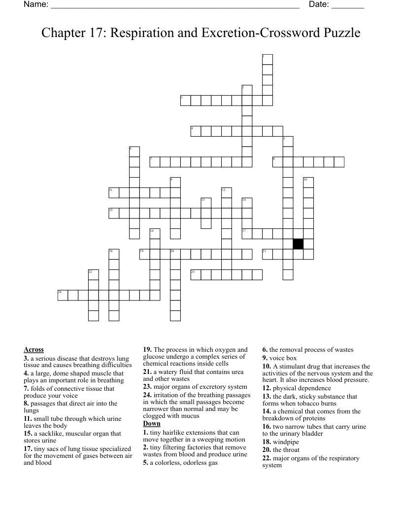 Chapter 17: Respiration and Excretion-Crossword Puzzle