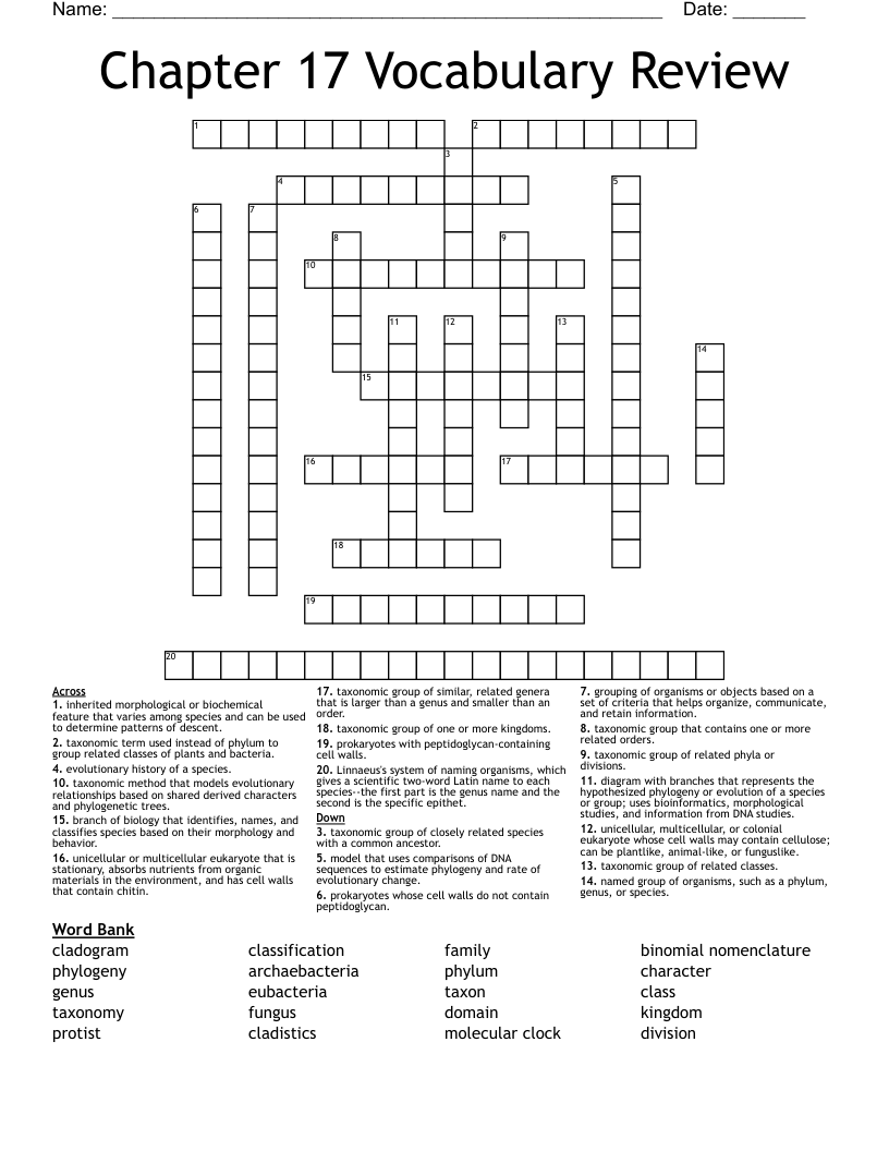 Chapter 17 Vocabulary Review  Crossword