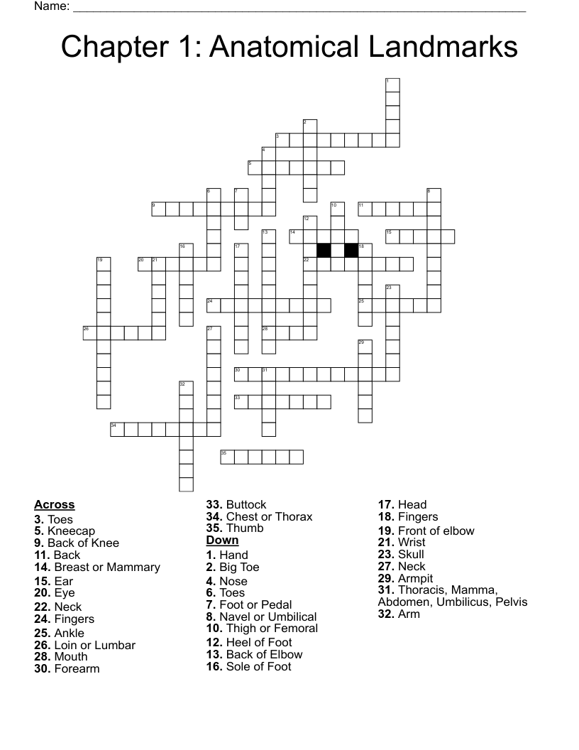 Chapter 1: Anatomical Landmarks Crossword