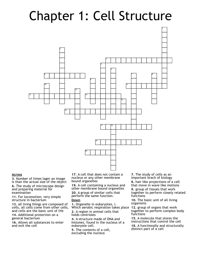 Chapter 1: Cell Structure Crossword
