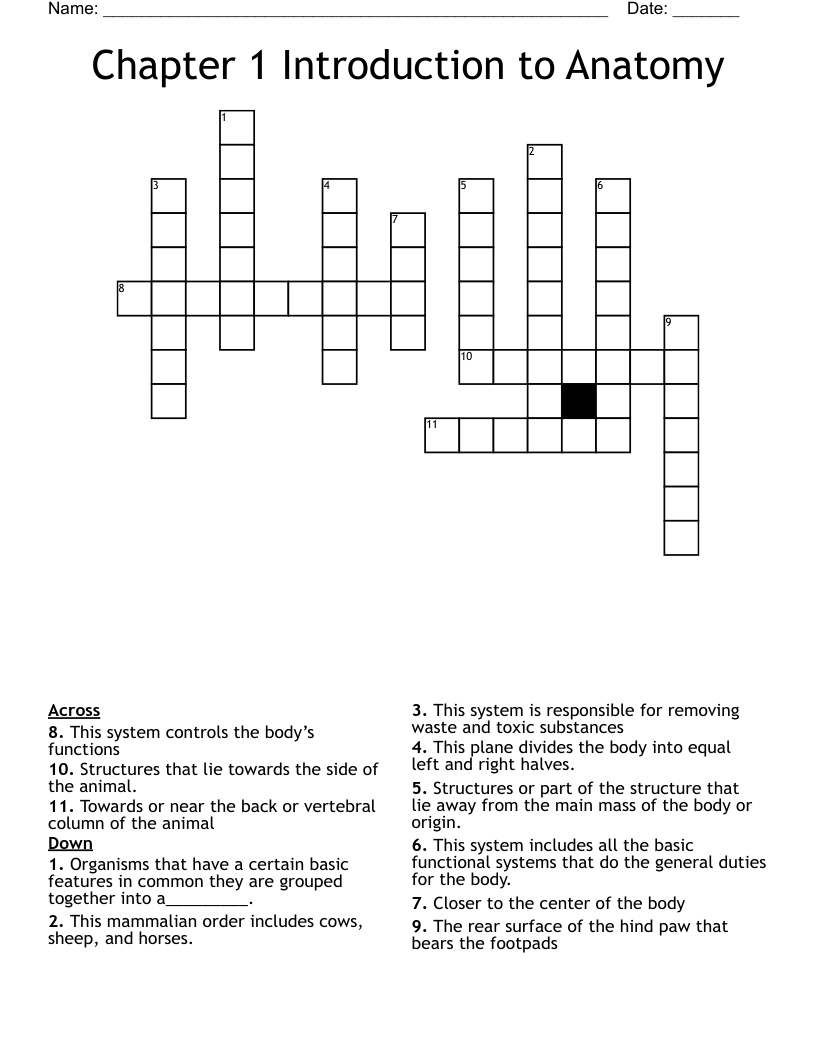 Chapter 1 Introduction to Anatomy  Crossword