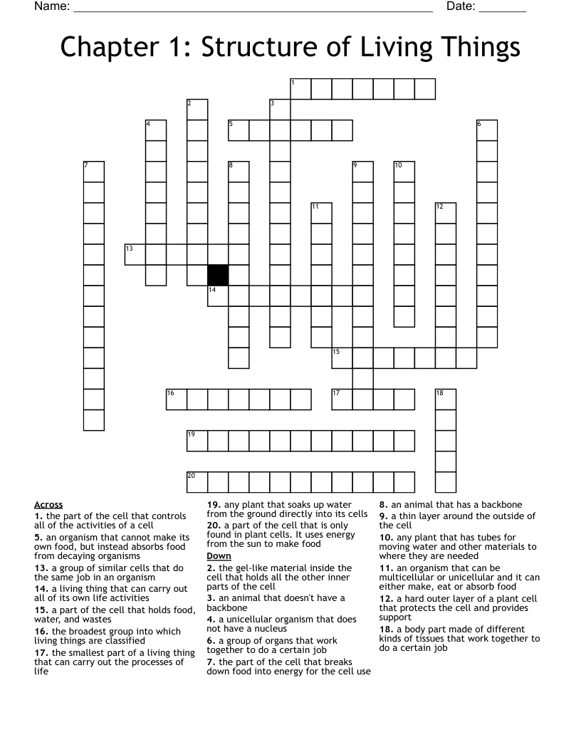 Chapter 1: Structure of Living Things Crossword