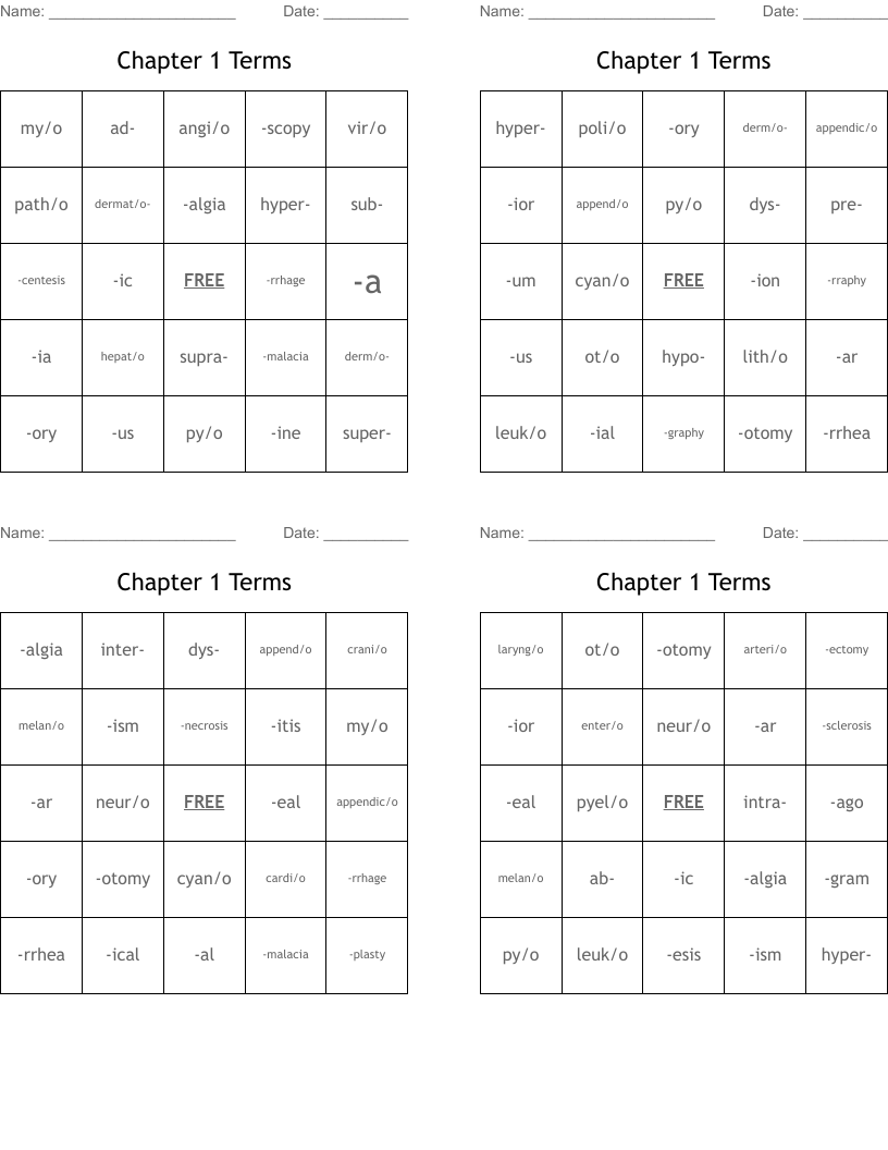 Chapter 1 Terms Bingo Cards