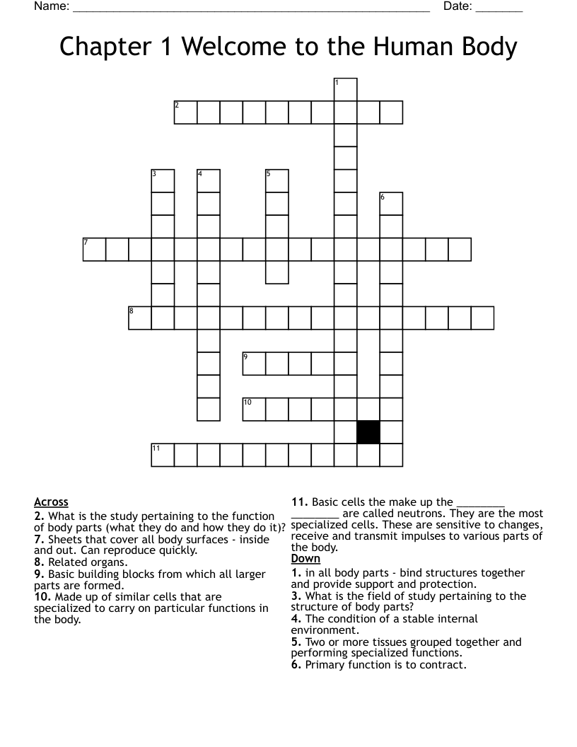 Chapter 1 Welcome to the Human Body Crossword