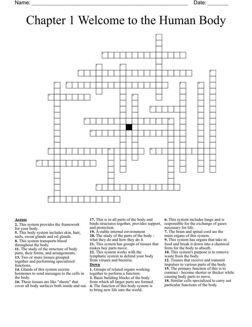 Chapter 1 Welcome to the Human Body Crossword