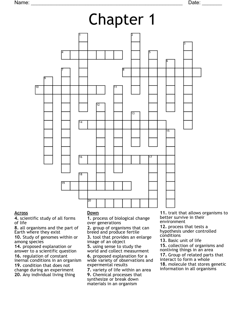 Chapter 1  Crossword