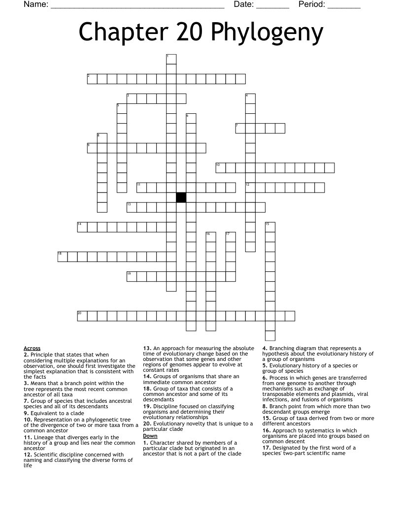 Chapter 20 Phylogeny Crossword