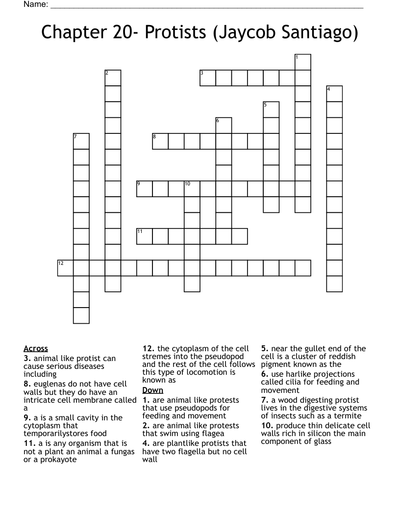 Chapter 20- Protists (Jaycob Santiago) Crossword