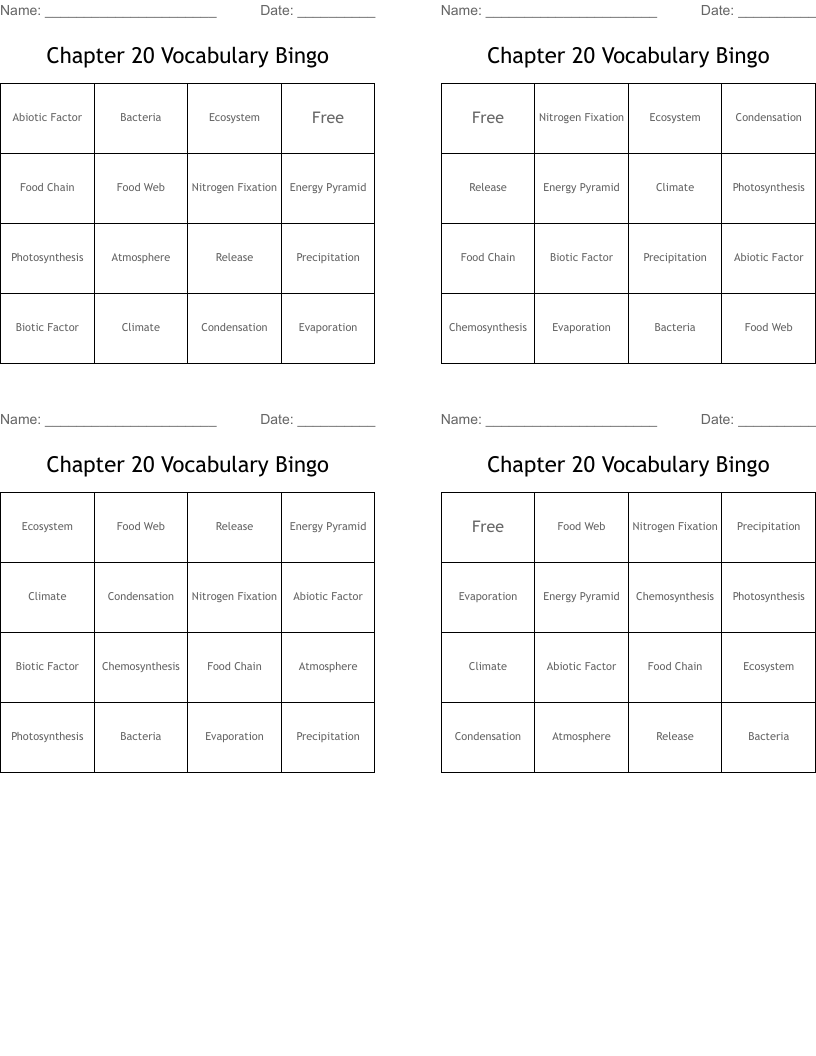 Chapter 20 Vocabulary Bingo