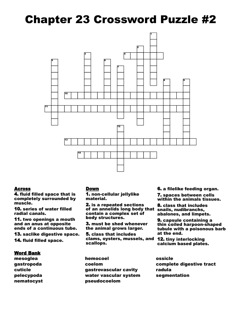 Chapter 23 Crossword Puzzle #2