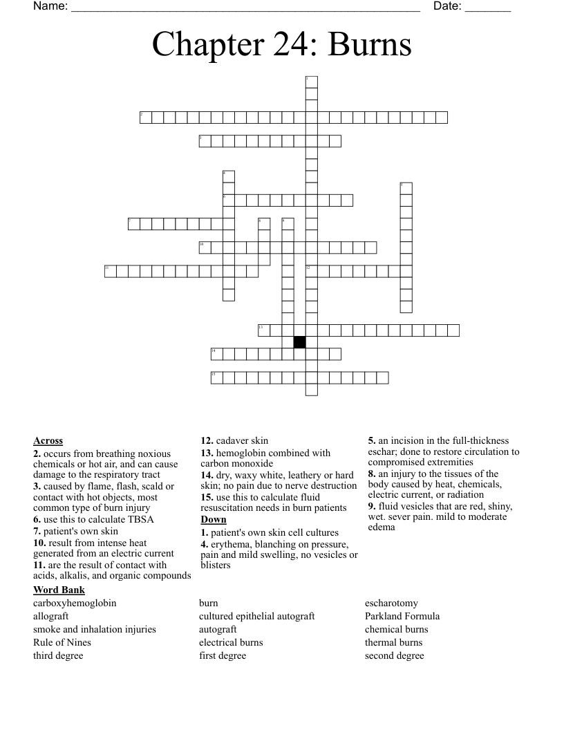 Chapter 24: Burns Crossword