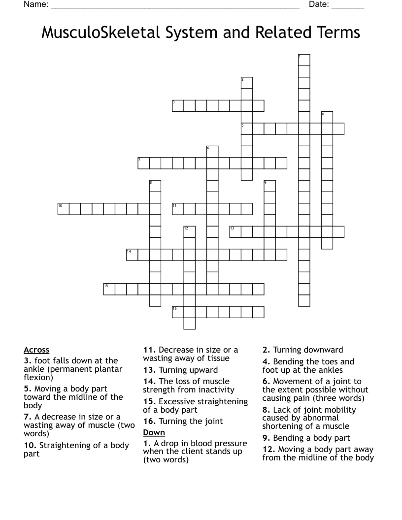 MusculoSkeletal System and Related Terms Crossword