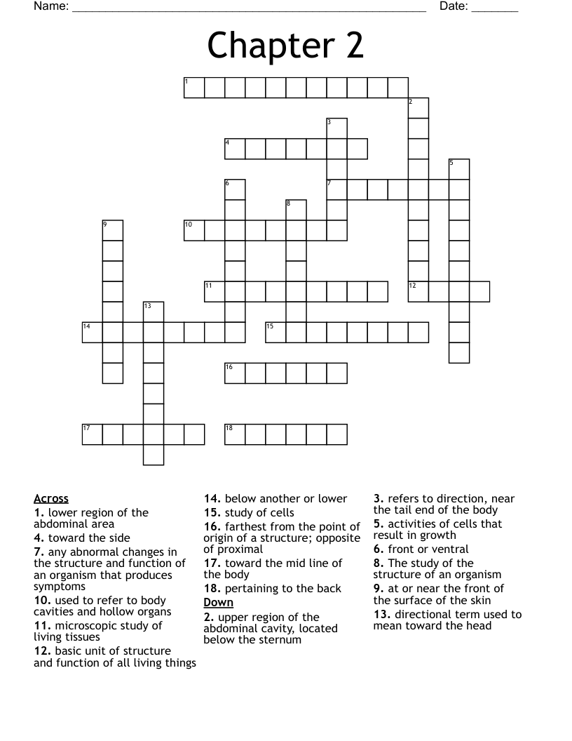 Chapter 2 Crossword
