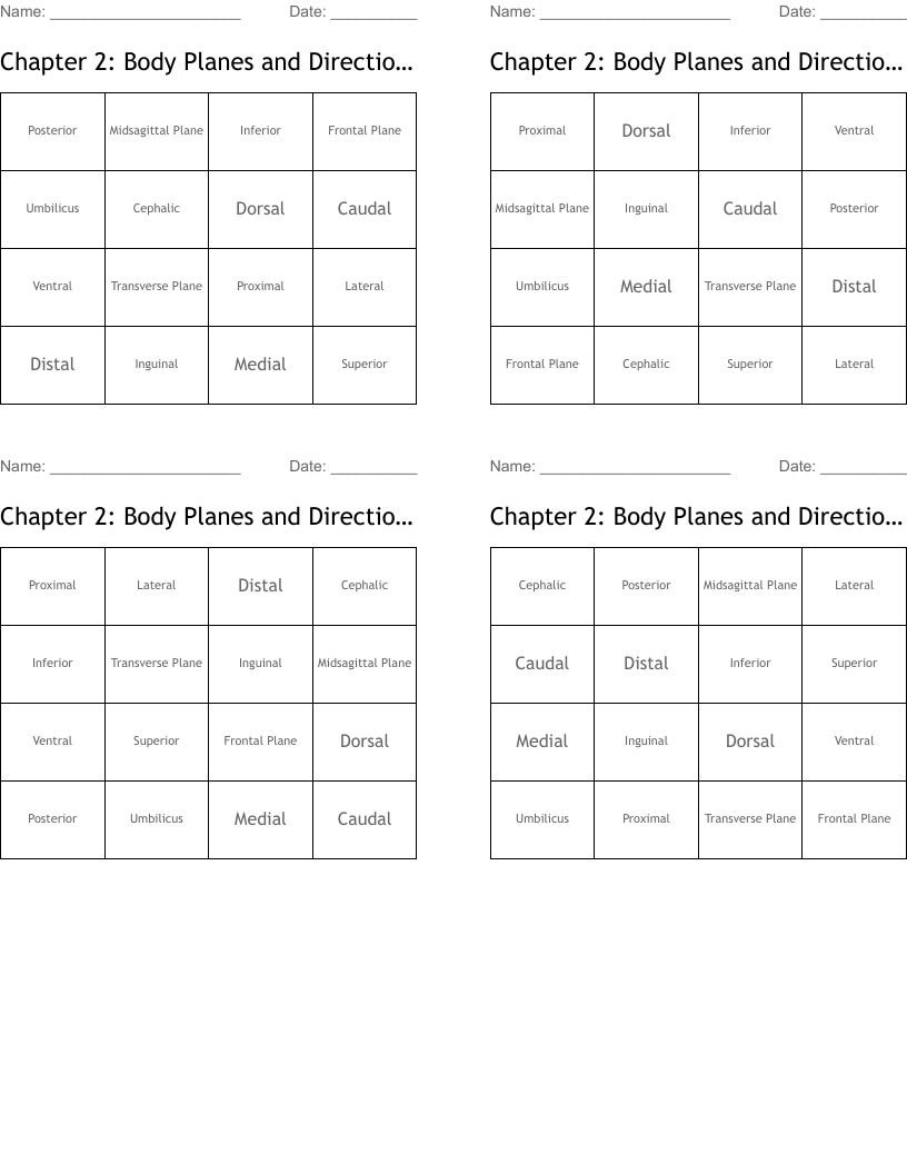 Chapter 2: Body Planes and Directional Terms Bingo Cards