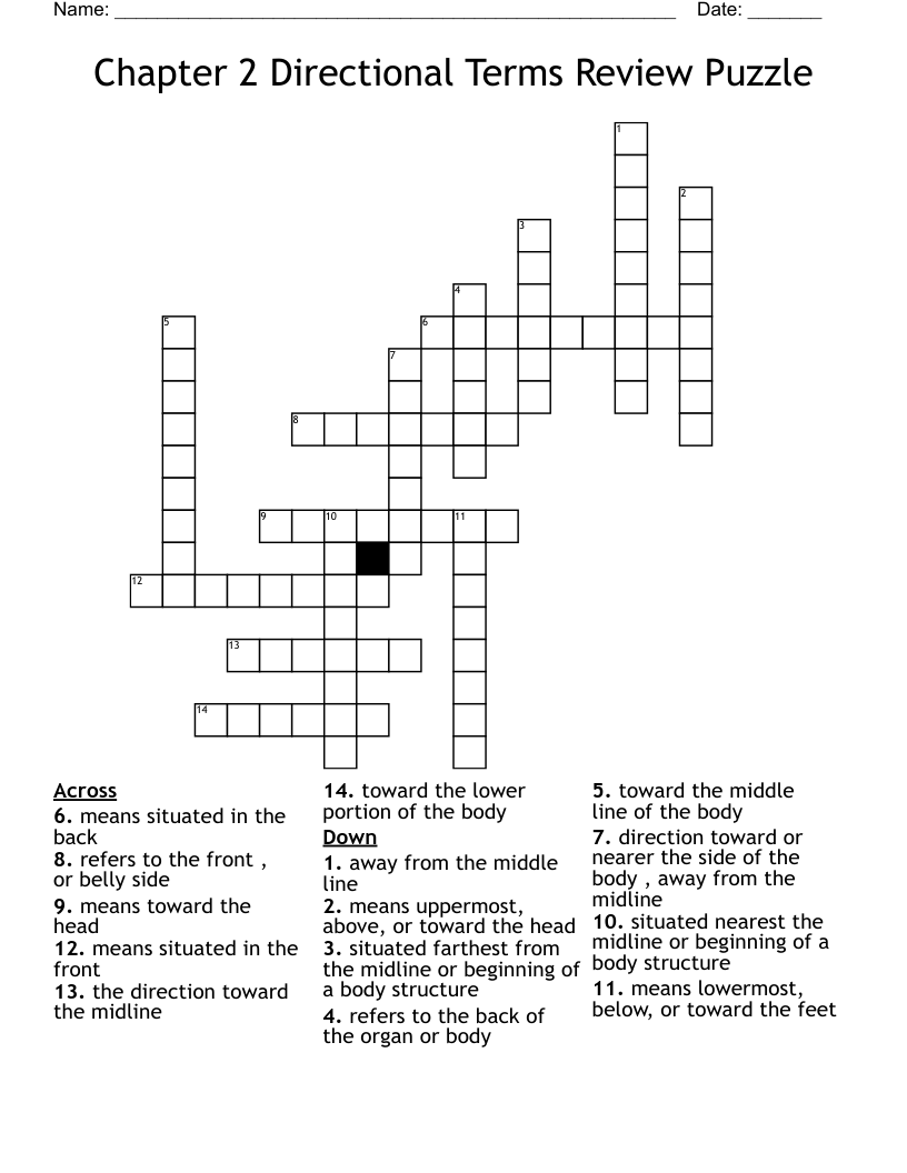 Chapter 2 Directional Terms Review Puzzle Crossword