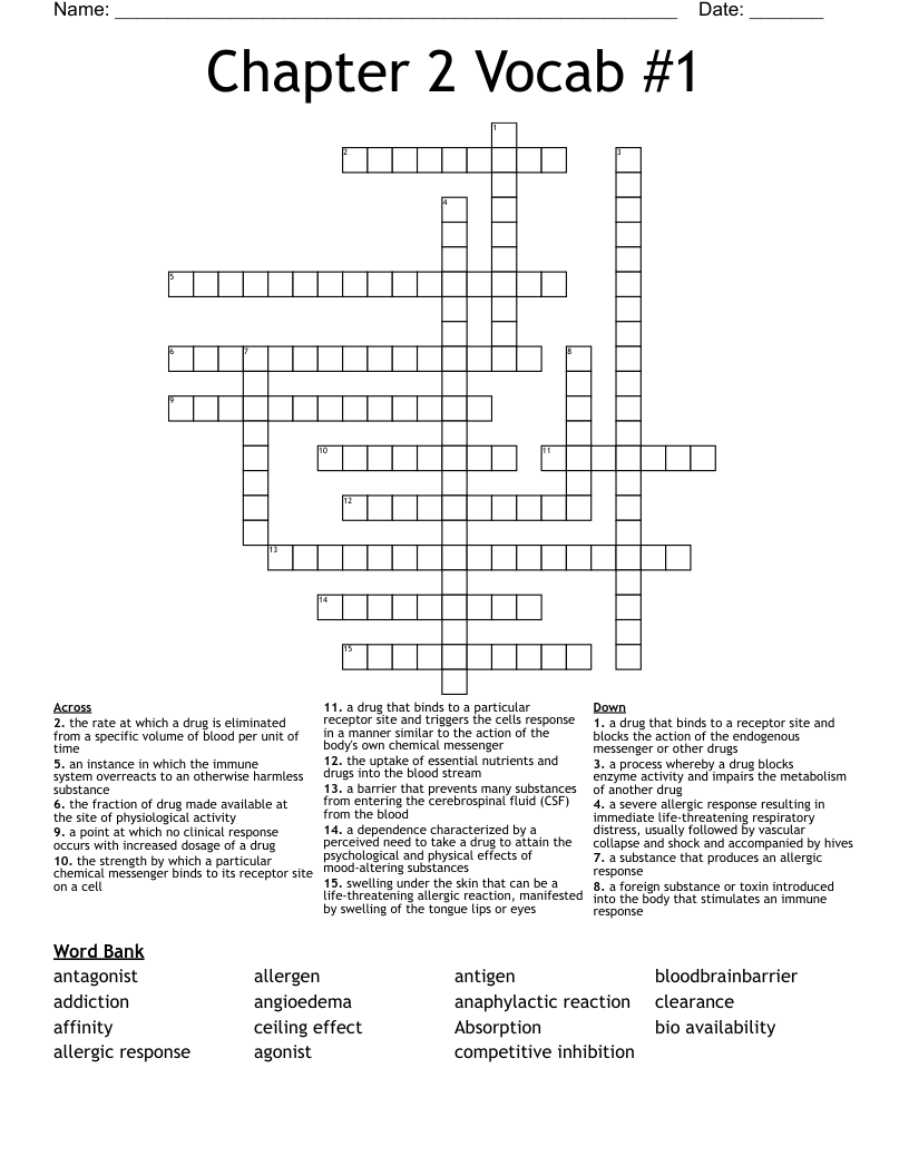 Chapter 2 Vocab #1 Crossword