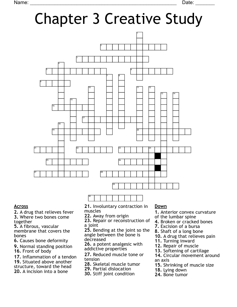 Chapter 3 Creative Study Crossword