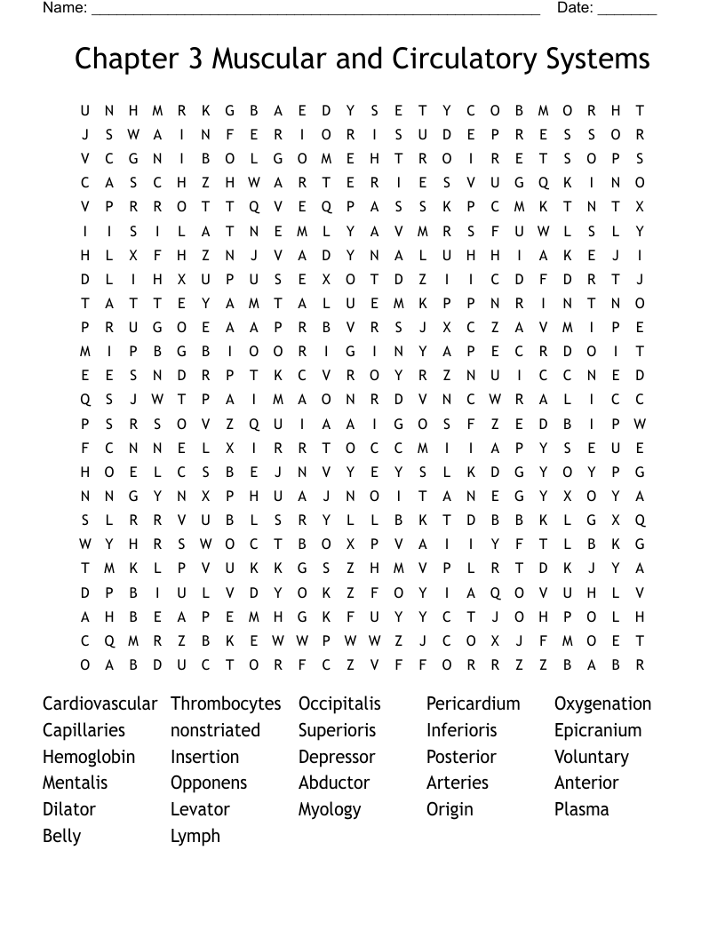Chapter 3 Muscular and Circulatory Systems Word Search