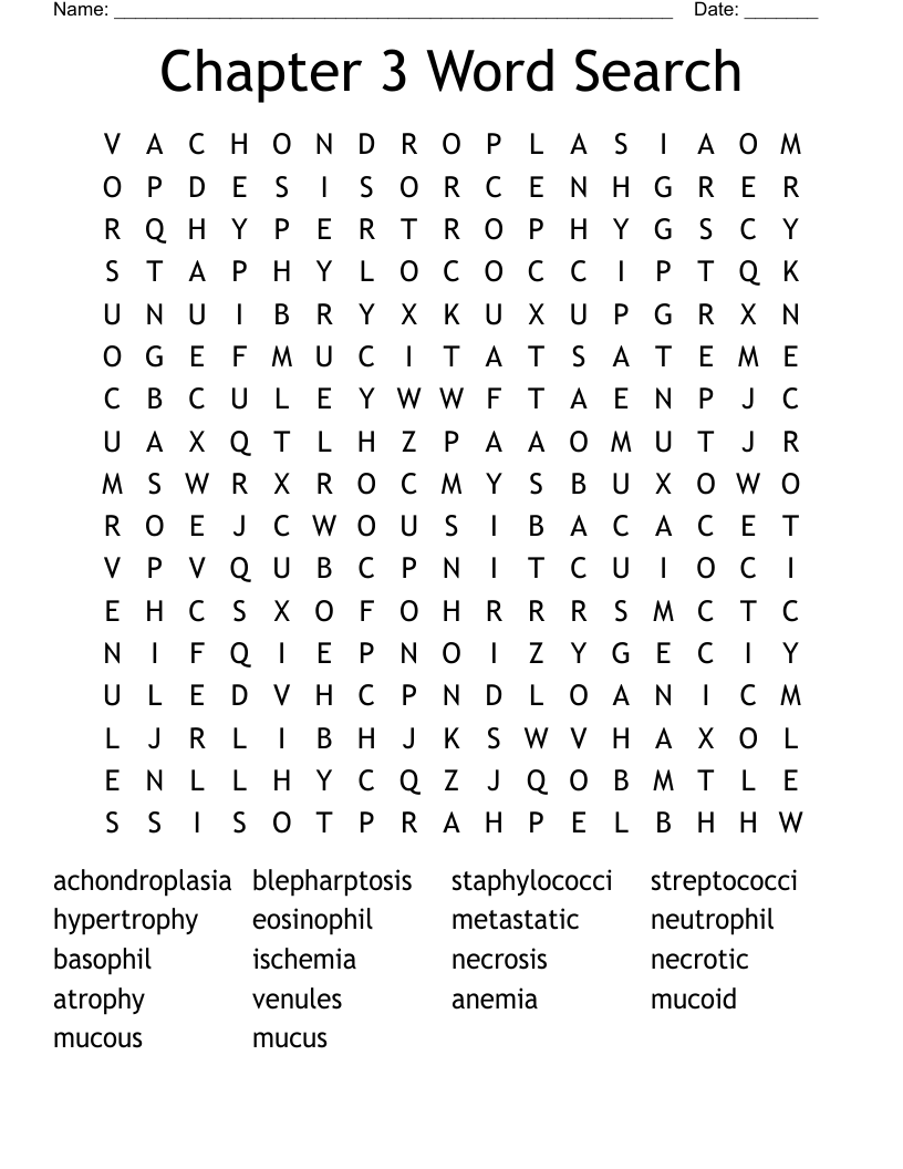 Chapter 3 Word Search