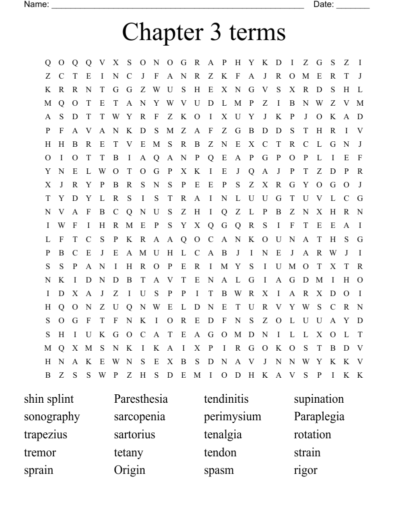 Chapter 3 terms  Word Search
