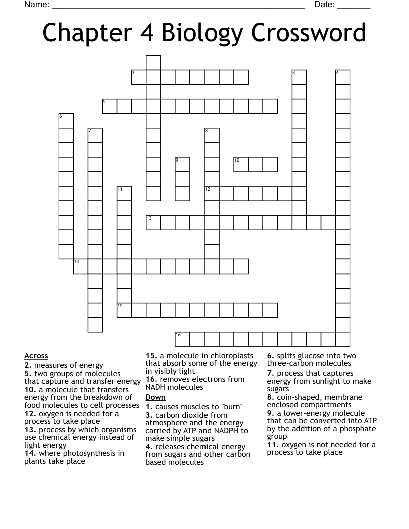 Chapter 4 Biology Crossword