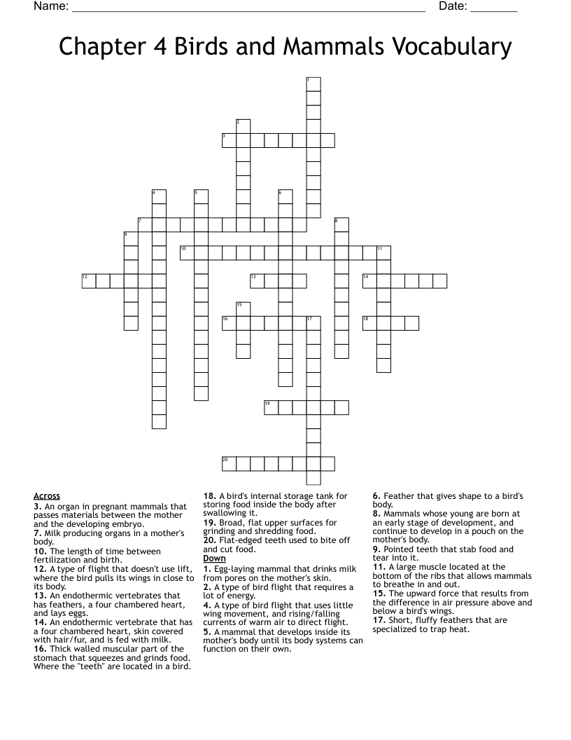 Chapter 4 Birds and Mammals Vocabulary Crossword