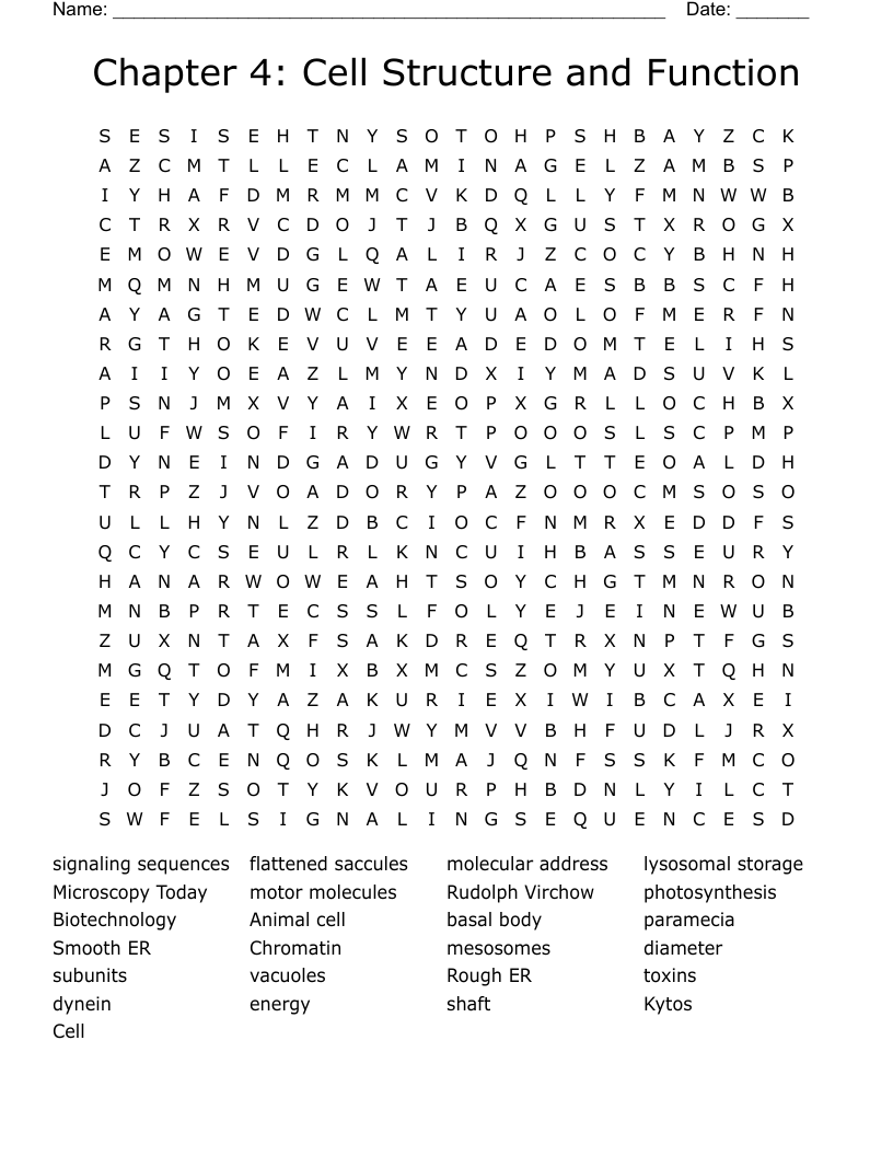 Chapter 4: Cell Structure and Function Word Search