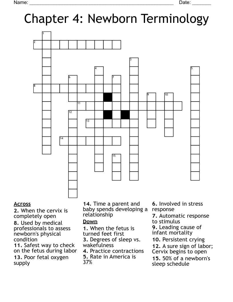 Chapter 4: Newborn Terminology Crossword