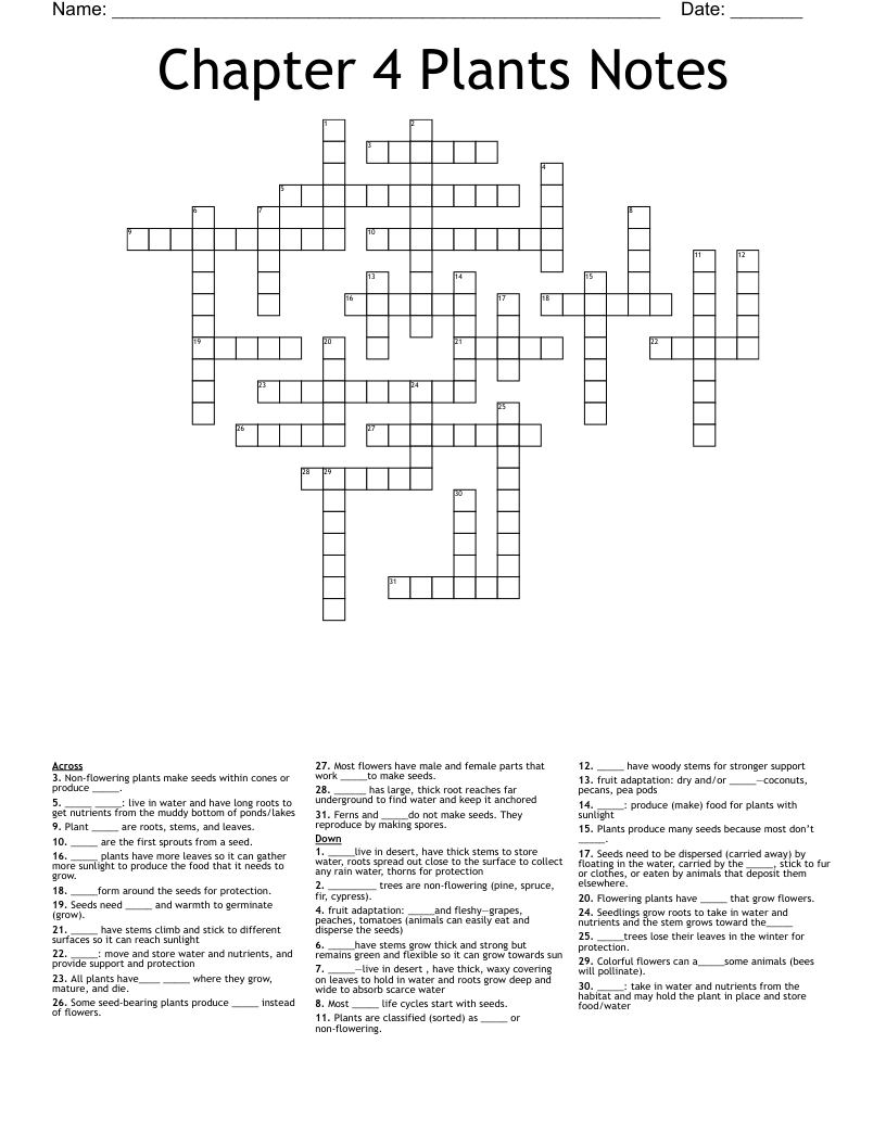 Chapter 4 Plants Notes Crossword