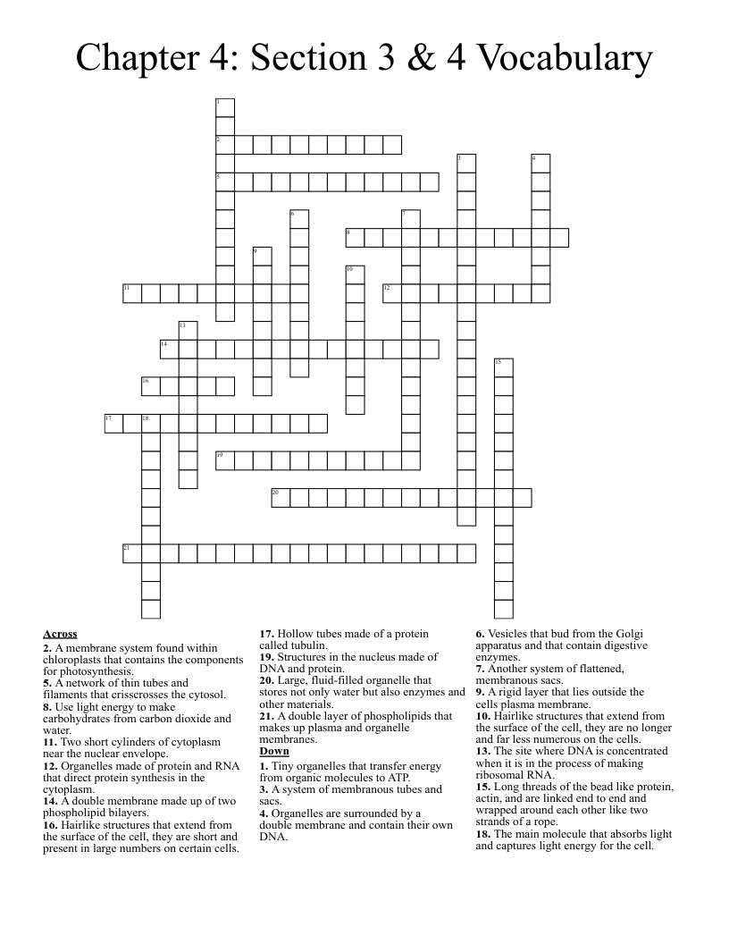 Chapter 4: Section 3 & 4 Vocabulary Crossword