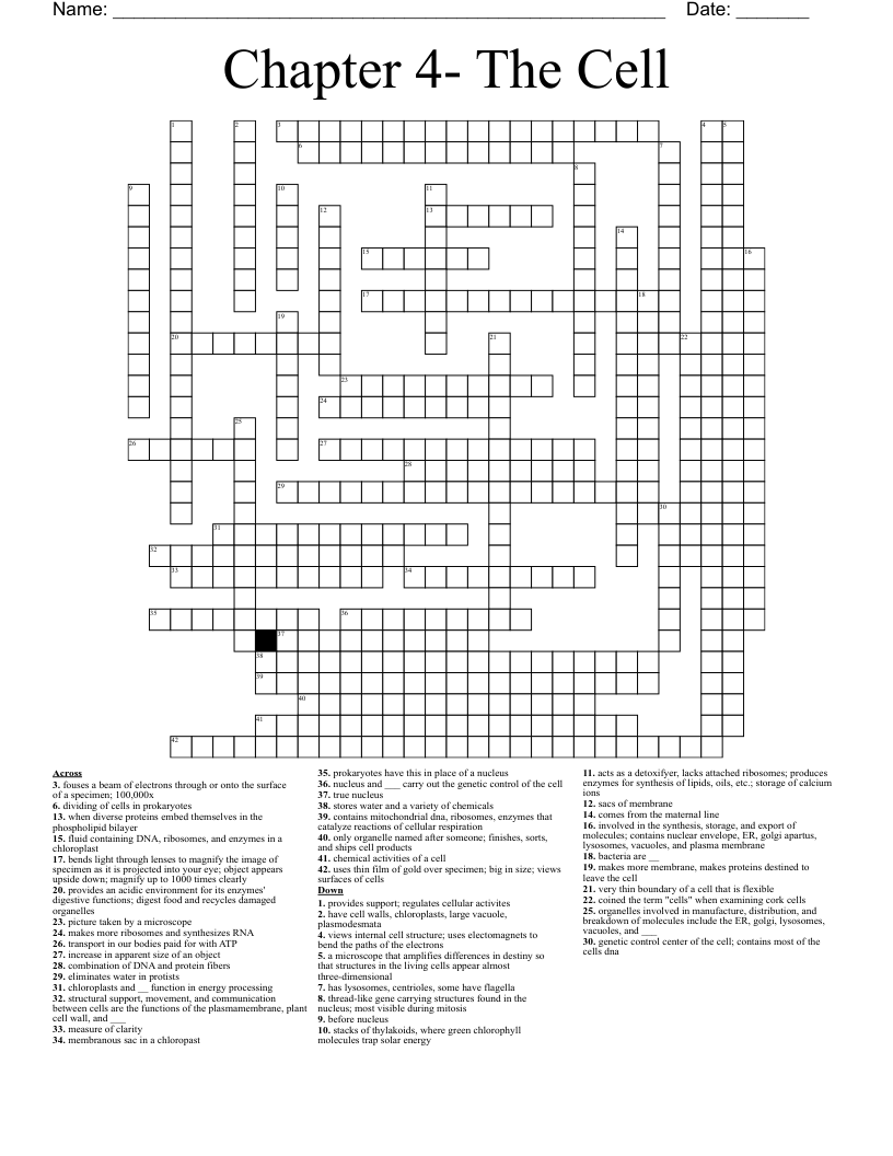 Chapter 4- The Cell Crossword
