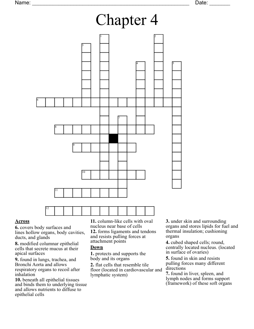 Chapter 4  Crossword